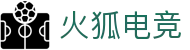 火狐电竞-第一时间传递赛场胜负风云